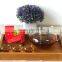 Borosilicate glass tea pot , Tea brewer ,Stainless steel tea maker
