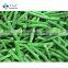 Sinocharm BRC A Approved 8-11CM IQF Кусочки замороженных фасоли аскордоша длиной 8-11 см