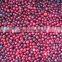 Sinocharm BRC-A Approved 5-10mm IQF Lingonberries Wild whole Frozen Lingonberry