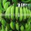 Green banana peeling machine and automatic banana peeler plantain peeler