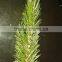 Artificial PVC Pine Needles for Artficial Christmas Pine Needles tree