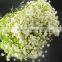 Love theme hot sale gifts decoration wedding fresh gypsophila