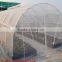 Anti insect net for greenhouse