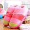 Latest Design Rainbow Color Warm Cotton Slippers Fashion Slippers