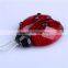 Small Size Ladybug with Half Opened Wings Ornament 01501011 new style indoor decoration