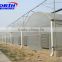 Aluminum frame Glass Greenhouse PC greenhouse with aluminum structure single span with automatic ventilation greenhouse