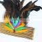 Rooster Tail Feather Headpiece Carnival For Halloween Cosplay