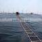shandong hdpe black rolls geomembrane
