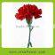 Reliable quality new coming preserved carnation flowers with natural