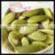 Dark Green Pumpkin Kernel