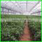 factory price clear plastic film for greenhouse in blue yellow color