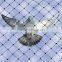 100%PP UV Stabilised Anti Bird Net for Manufacturing