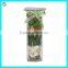 Red Decoration Flower In Glass Vase