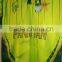 Pakistan cricket team kit