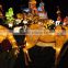 2016 hot china lantern Safari world lanterns colorful lanterns for theme park, festival