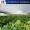 High quality plastic film multi-span flower greenhouse