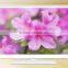 wholesale au cmo samsung panel 32 39 40 42 50 inch smart led tv