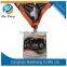 Customized Sport Running Medal/Zinc Alloy Gold Sports Medal
