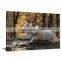 Wolf Canvas Printing Art Painting Bedroom decor DWYS90