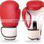 Yak Fancy Leather Boxing Gloves