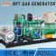 CE ISO approved 5-700kW portable biomass gas electric generator