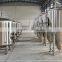 High Quality 400L Micro Brewery System, Beer Brewing Equipment Hot Sale