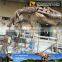 MY Dino-C034 Museum good quality dinosaur skeleton