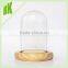 2015 new Wooden Base with transparent Glass of flower Vase terrariums/display glass vase wooden base