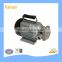 Cast iron Cooking oil pump / vegetable oil pump for frying oil circulation