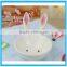 New Arrival Salad Bowl Set Ceremic Salad Bowl Rabbit Decoration Spoon Bowl Set