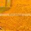 Premium turmeric powder bulk supplier
