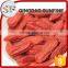 2016 new crop Chinese red organic Ningxia wolfberry with low price