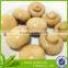 2015 new crop fresh mushroom champignon