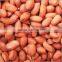 Groundnut