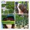 Lightweight Hydroponics /Planting Vegetables LECA Expanded Clay Aggregate 8-16mm