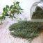 Thyme Oil
