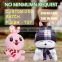 Customized Rabbit with Carrot Plush Stuffed Animal Toy