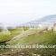 4% discount Drip irrigation system drip tape