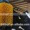 cattle brush for cattle farm equipment scratch brush cattle equipment