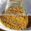 100% China HACCP Manufacturer bulk sunflowers bee pollen