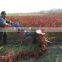 high quality mini chili harvester machine