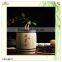 high quality gift wood garden tea pickle barrels