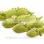 Wholesale Stuffed Plush Crocodile Toy