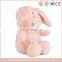 Promotional plush pink teddy bear