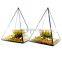 terrarium geometric terrarium geometric glass terrarium wholesale