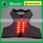 Wholesale flashing pet vest USB rechargeable pet vest reflective pet vest