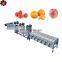 Fruit & Vegetable Washing Drying Waxing Sorting Line Machine for apple tomato /Fruits Processing