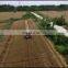 in sri lanka cheap price rice machine 4LZ-4.5 similar kubota combine harvester