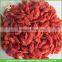 Hot Sale Dried Goji Berry Of 280 Grains Per 50 Gram For Export