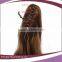 Promotional Claw Clip Brown Synthetic Ponytail Natural Hair Extensions